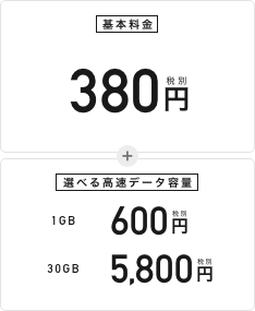 格安SIMネットだけ