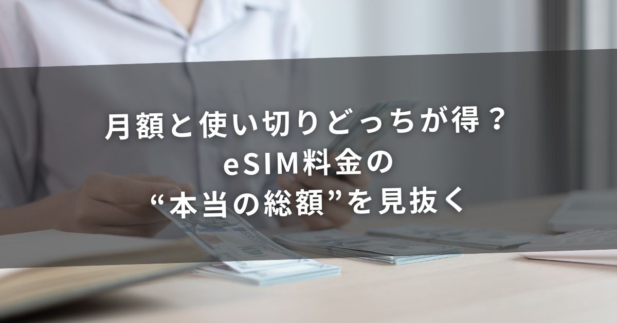 月額と使い切りどっちが得?eSIM料金の“本当の総額”を見抜く